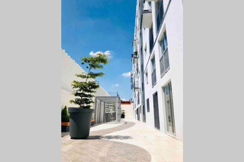 דירות Departamento *Mundo Viajero* גואדלחארה מראה חיצוני תמונה